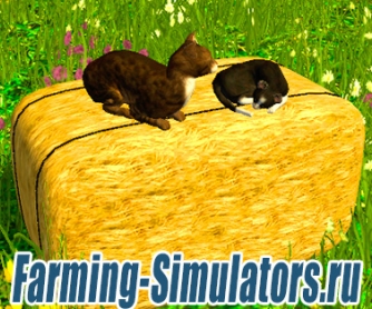 Кот «Katzen auf Strohballen» v1.0 для Farming Simulator 2015 - скриншот