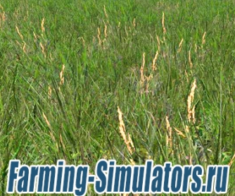 Текстура травы «Grass Texture» v1.0 для Farming Simulator 2015 - скриншот