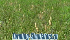Текстура травы «Grass Texture» v1.0 для Farming Simulator 2015 - скриншот