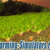 Текстура свеклы «Sugarbeet Texture» v1.0 для Farming Simulator 2015 - скриншот